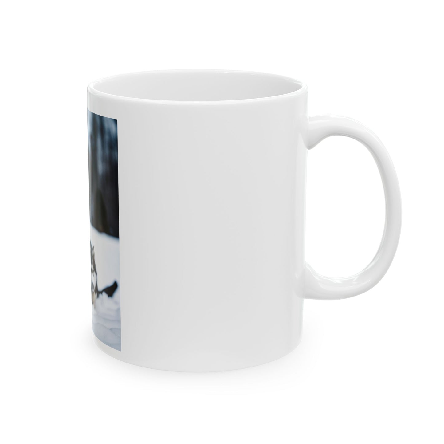 Ceramic Mug