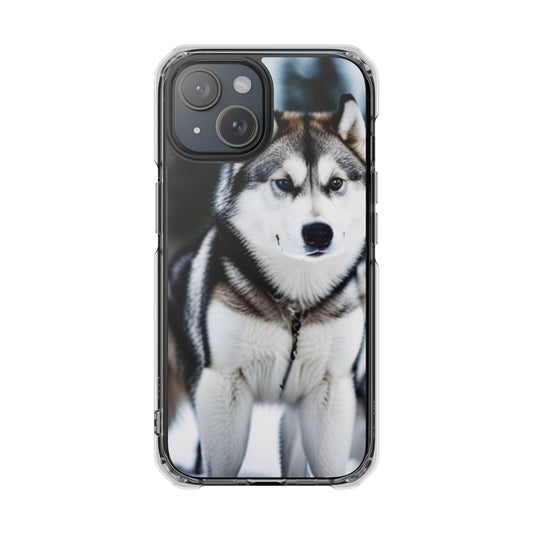 Magnetic Clear Impact Case