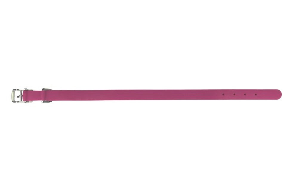 Vibrant Life Collar