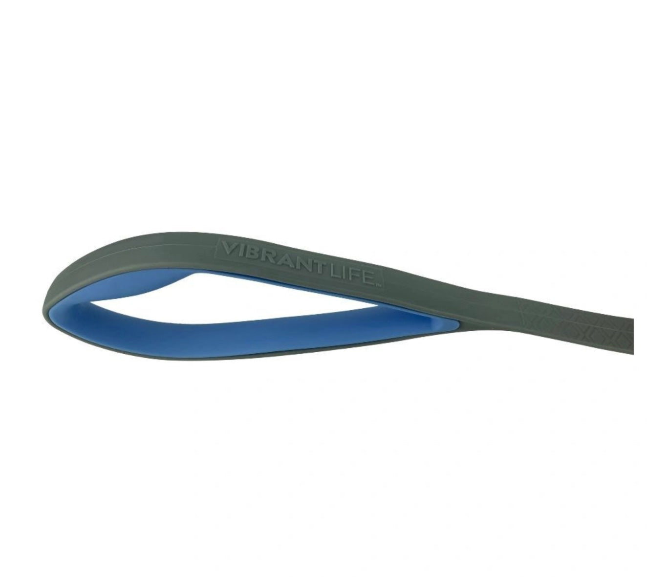 Vibrant Life Leash in Blue and Gray